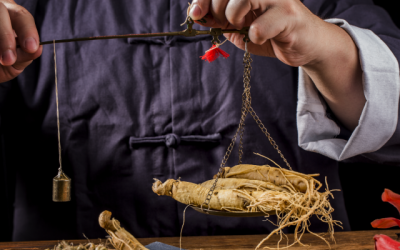 El Panax ginseng, “la planta que lo cura todo”